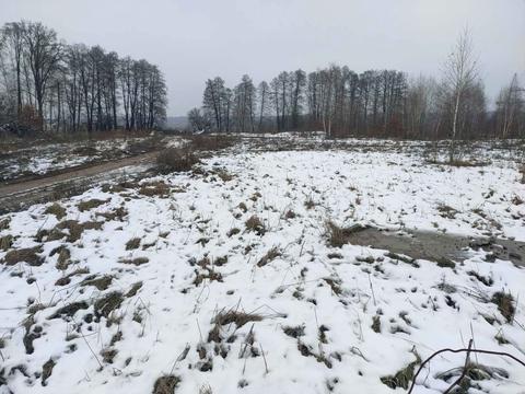 ділянка за адресою Кричевського