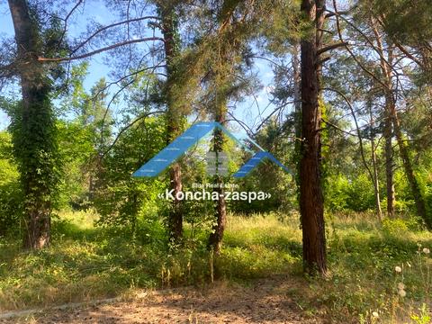 ділянка за адресою смт. Козин, 
