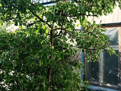 ділянка за адресою Дружби вул.