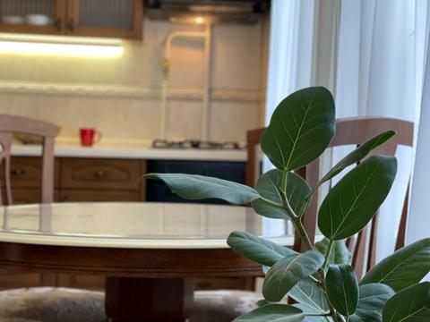 квартира по адресу Стрелецкая ул., 7/6