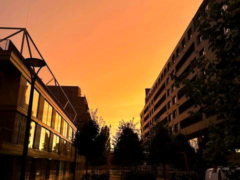 квартира по адресу Набережно-Рыбальская дорога ул., 5