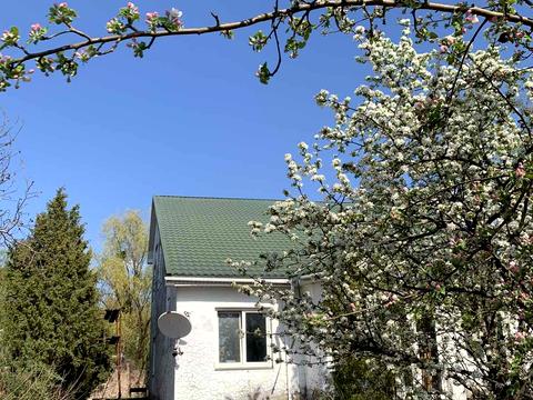 участок по адресу пгт. Козин, 