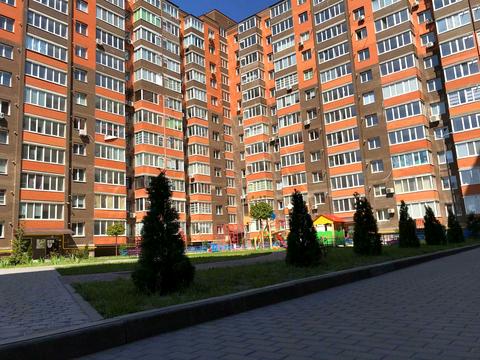 квартира за адресою Мирна вул., 19