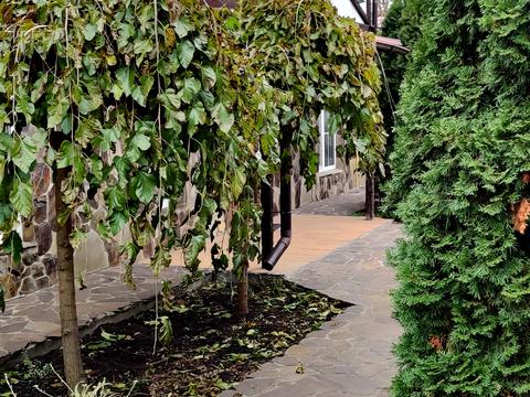 будинок за адресою Князя Святослава