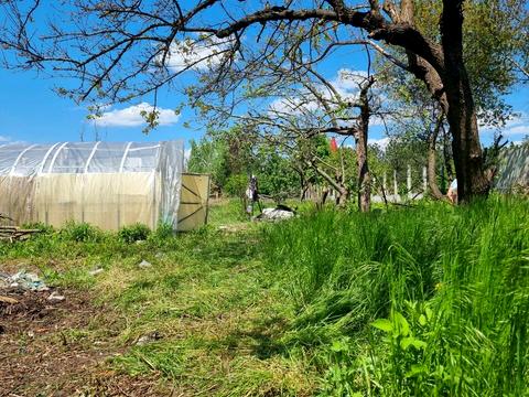 будинок за адресою с. Новоолександрівка, Гагаріна