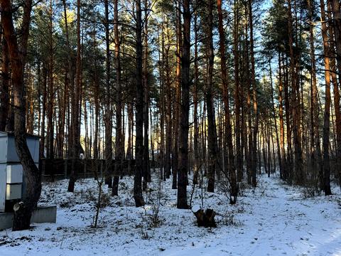 ділянка за адресою Зелена