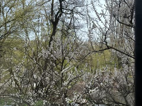 квартира за адресою Романа Ратушного вул. (Волгоградська), 18