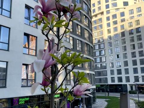 квартира за адресою Кульпарківська вул. (Кульпарківська), 93 к4