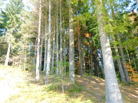 будинок за адресою Бориславська вул.