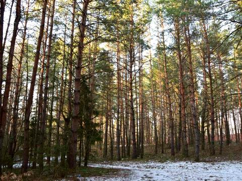 участок по адресу Першотравнева, 5