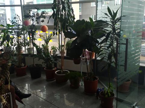 квартира за адресою Звіринецька вул., 59