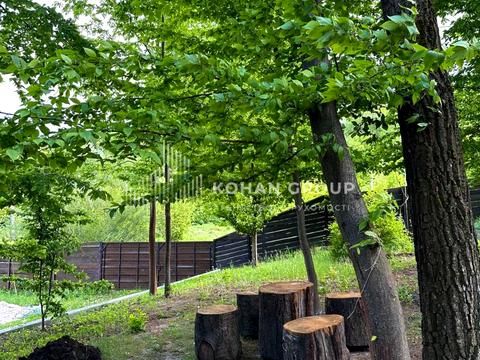 комерційна за адресою Західно-Окружна вул., 1