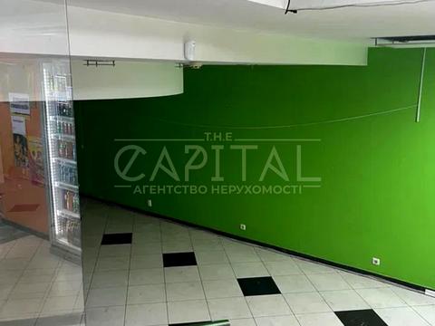 комерційна за адресою Гетьмана Павла Скоропадського вул. (Льва Толстого), 11/61