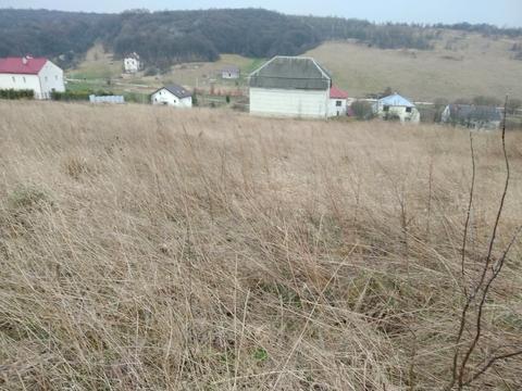 ділянка за адресою урочище Піддовге