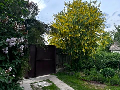 будинок за адресою Центральний пров., 8