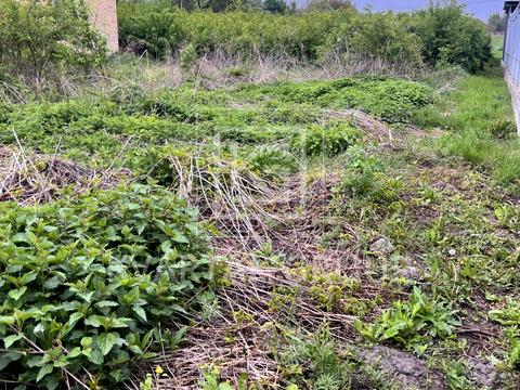 ділянка за адресою 