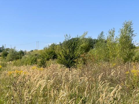 ділянка за адресою лисиничі