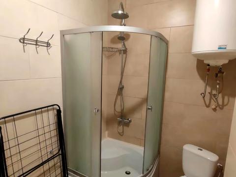квартира по адресу Дача Ковалевского ул., 121