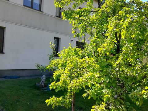 будинок за адресою Волошкова вул., 15