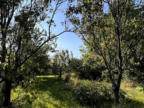 будинок за адресою Миру, 62