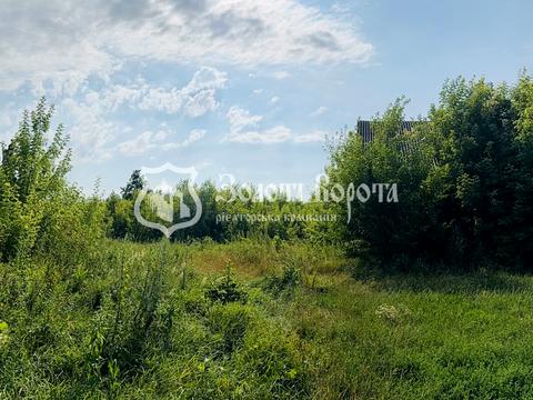 ділянка за адресою с. Копачів, Південна вул., 4
