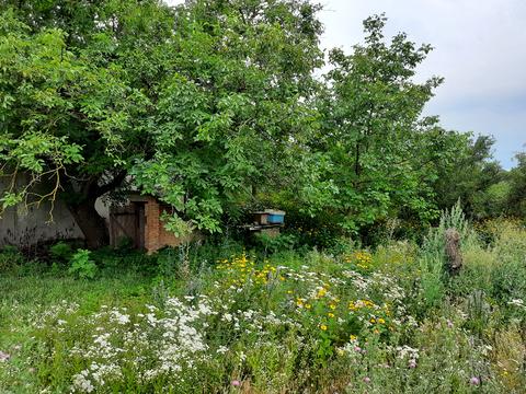 будинок за адресою Центральна