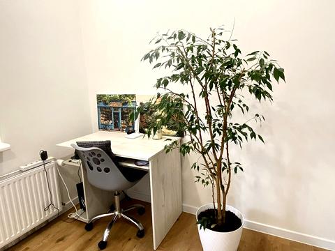 квартира по адресу Жаботинского ул. (Пролетарская улица), 56а