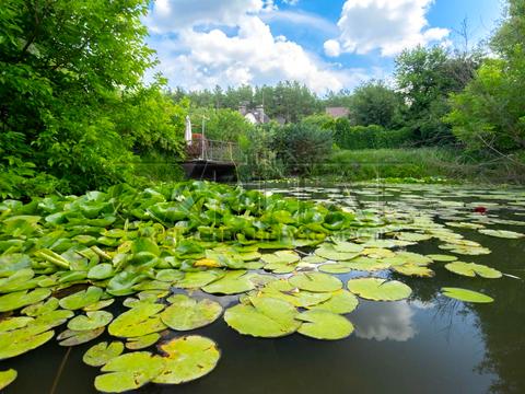 будинок за адресою фастівський