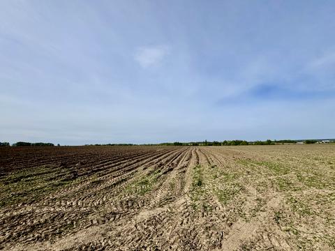 ділянка за адресою смт. Гостомель, 