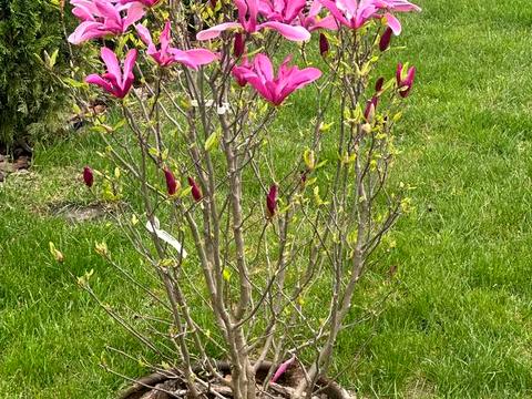 будинок за адресою Миру