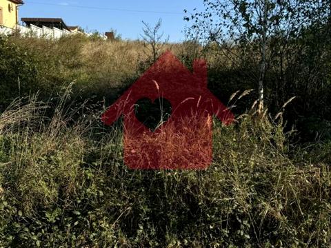 участок по адресу Центральна