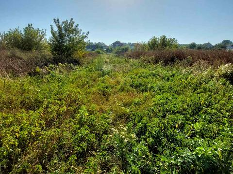 ділянка за адресою Білогородська сільська рада