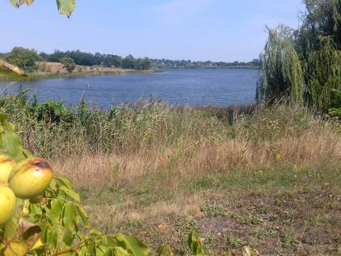 ділянка за адресою Вільне