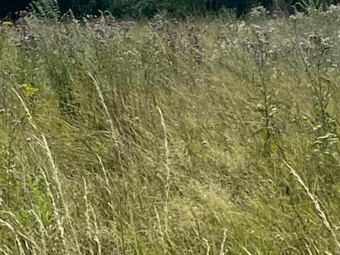 ділянка за адресою Квітнева