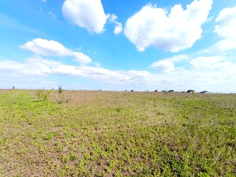 ділянка за адресою біля Царського озера