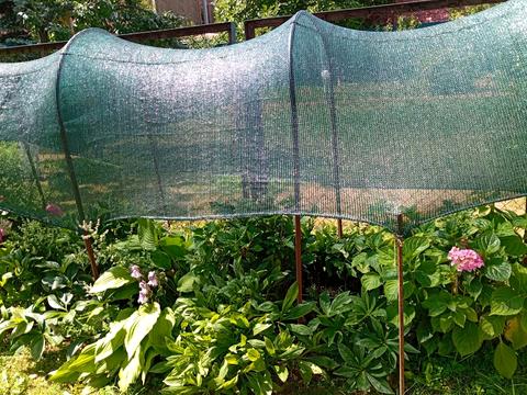 будинок за адресою Центральна вул. (Пролетарська), 79/80