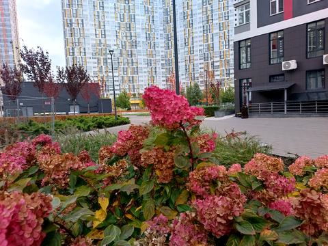 квартира за адресою Микільсько-Слобідська вул., 10