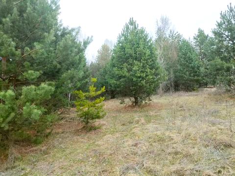 ділянка за адресою с. Велика Бугаївка, 