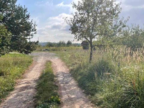 ділянка за адресою с. Бірки, Світла