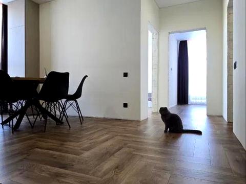 квартира за адресою Григорія Сковороди вул., 36