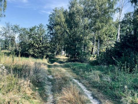 ділянка за адресою Озерна