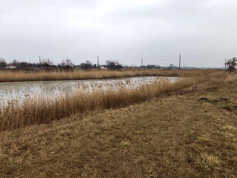 ділянка за адресою с. Новоселівка, Озерна