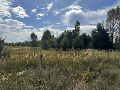 участок по адресу озерна