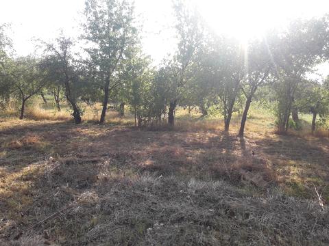 ділянка за адресою Привокзальна
