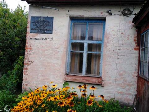 комерційна за адресою смт. Ріпки, Святомиколаевська, 129