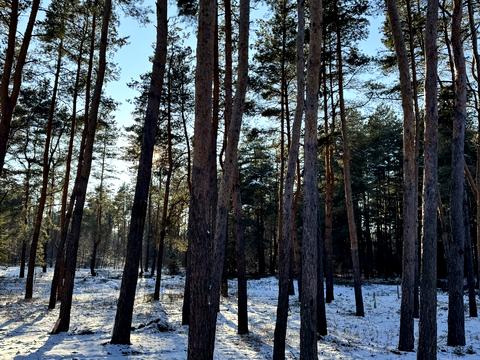 ділянка за адресою с. Піщанка, Садова