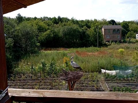 будинок за адресою с. Хвильово-Сорочин, Перемоги