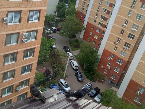 квартира за адресою Владислава Бувалкіна вул. (Бочарова Генерала), 75