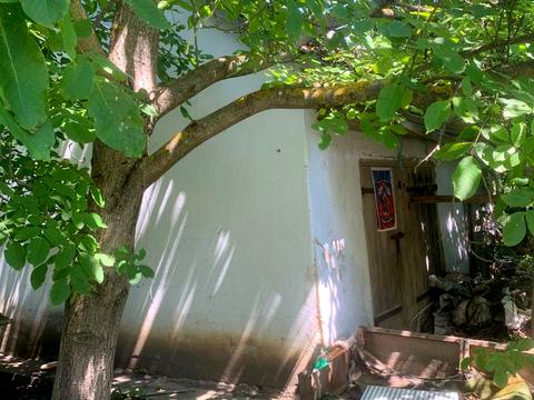 дом по адресу центральна, 125