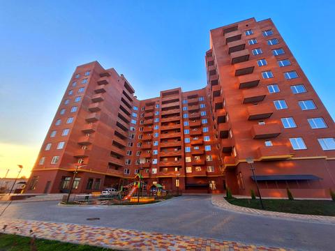 квартира за адресою Головатого вул., 64